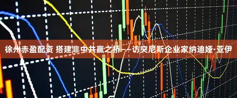 徐州赤盈配资 搭建非中共赢之桥——访突尼斯企业家纳迪娅·亚伊