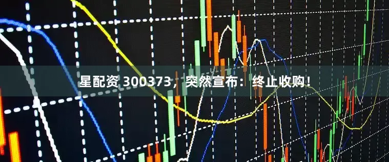 星配资 300373，突然宣布：终止收购！