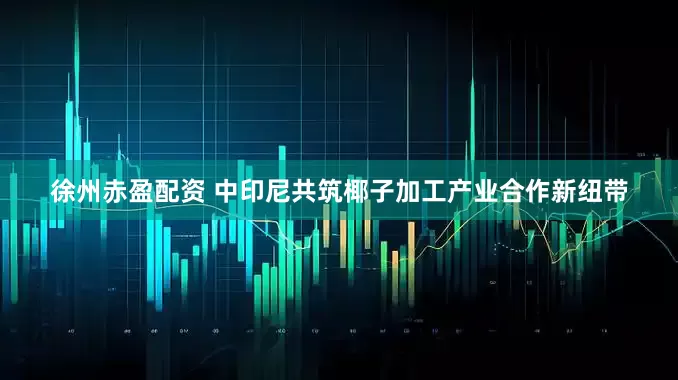 徐州赤盈配资 中印尼共筑椰子加工产业合作新纽带