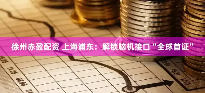 徐州赤盈配资 上海浦东：解锁脑机接口“全球首证”