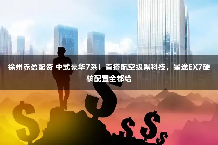 徐州赤盈配资 中式豪华7系！首搭航空级黑科技，星途EX7硬核配置全都给